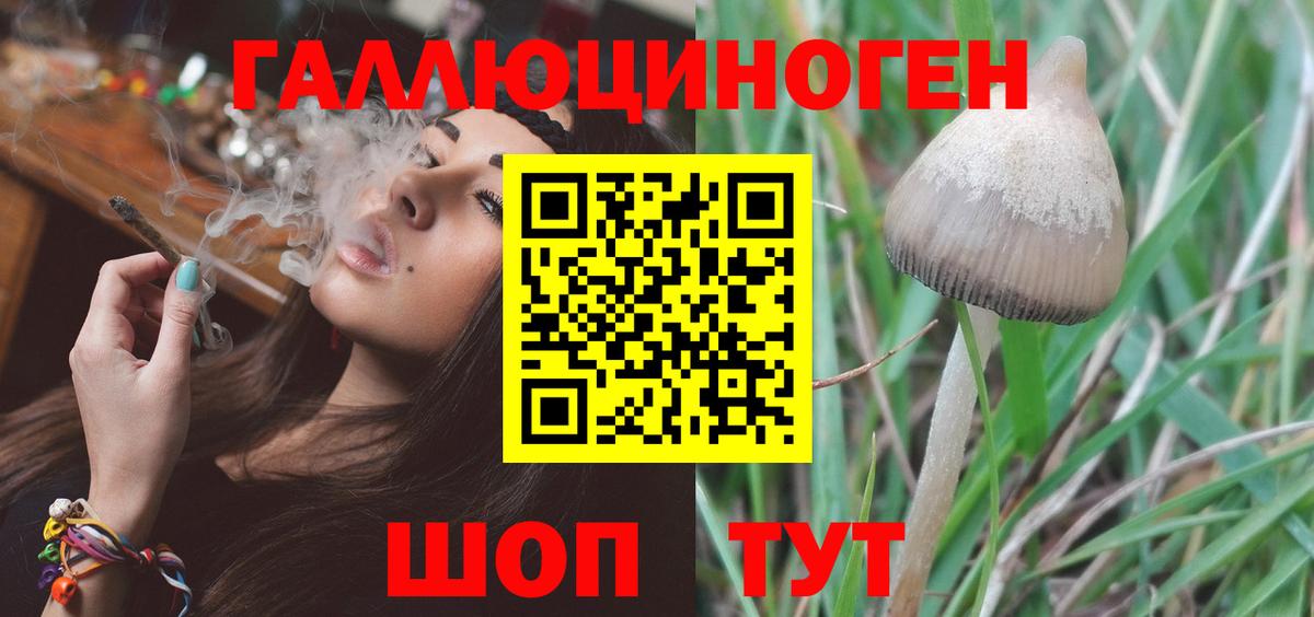 Псилоцибиновые грибы Psilocybe Урай
